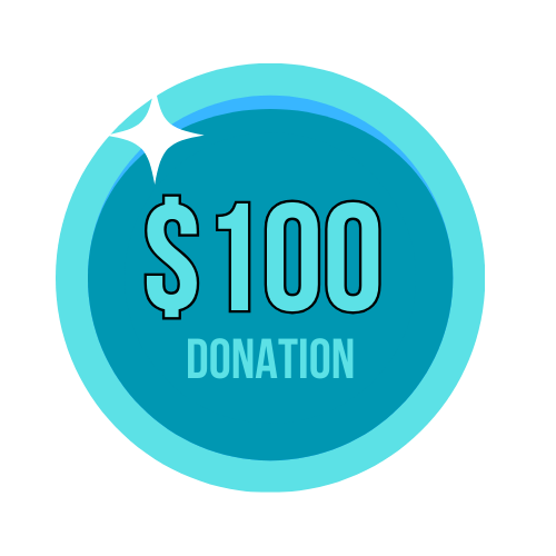 DSEF BLUE DONATION