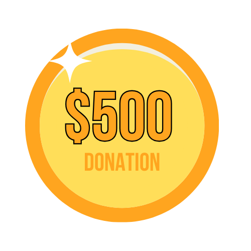 DSEF BLUE DONATION